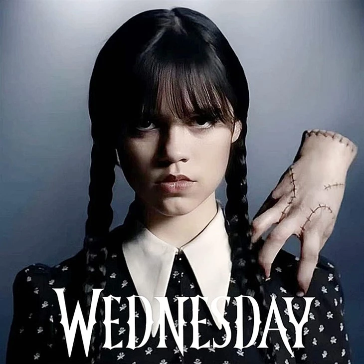 wednesday addams costume with wig1